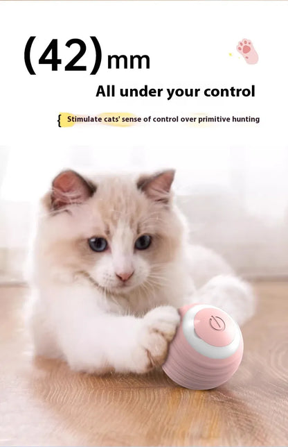 Smart Interactive Pet Toy Ball