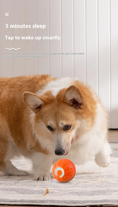Smart Interactive Pet Toy Ball