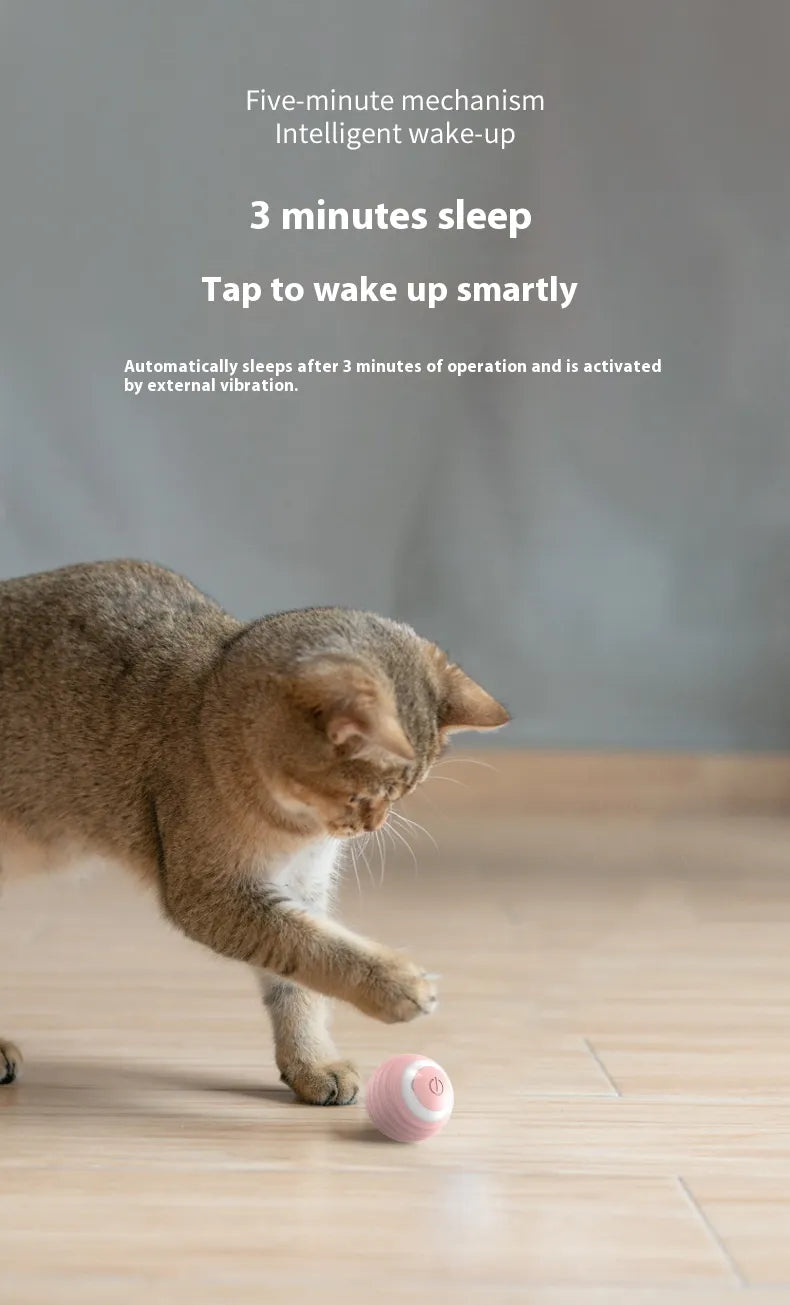 Smart Interactive Pet Toy Ball