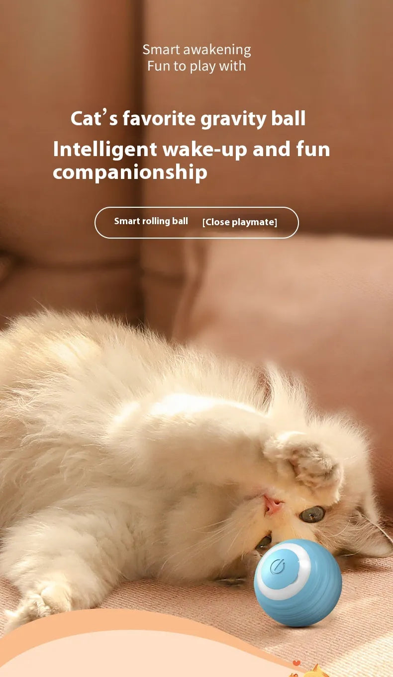 Smart Interactive Pet Toy Ball